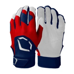 Evoshield Standout Youth Baseball Batting Gloves -Baseball Equipment Store wb5712803 2 evo standout batting glove adult ma.png.cq5dam.web .2000.2000 61384.1679431534