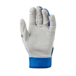 Evoshield Daze Adult Baseball/Softball Batting Gloves -Baseball Equipment Store wb5722203 1 evo daze batting glove adult ro.png.cq5dam.web .2000.2000 46302.1679446035